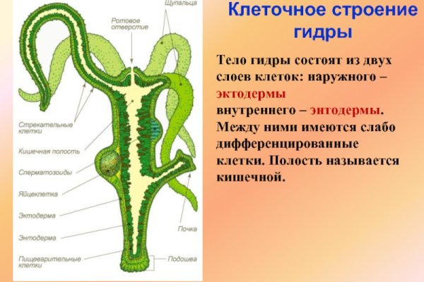 Кракен даркнет зеркало