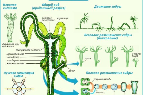 Kraken ссылка tor официальный сайт