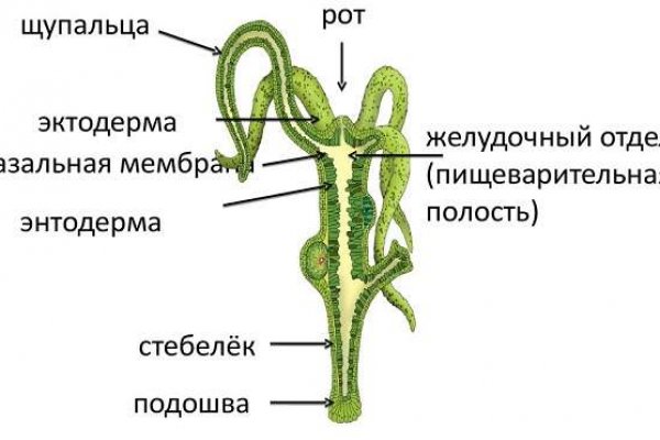 Кракен как зайти через тор браузер