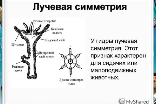 Кракен это современный даркнет